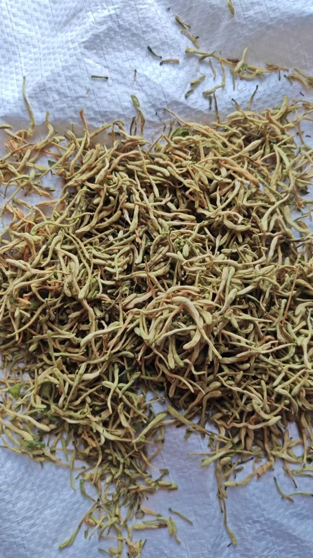 青岛金银花干花有什么作用2026市场行情