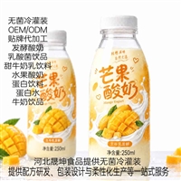 蓝莓酸奶乳饮料PET瓶代加工无菌冷灌装