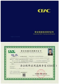 办公软件应用高级专家CS0IE 职业资格证书