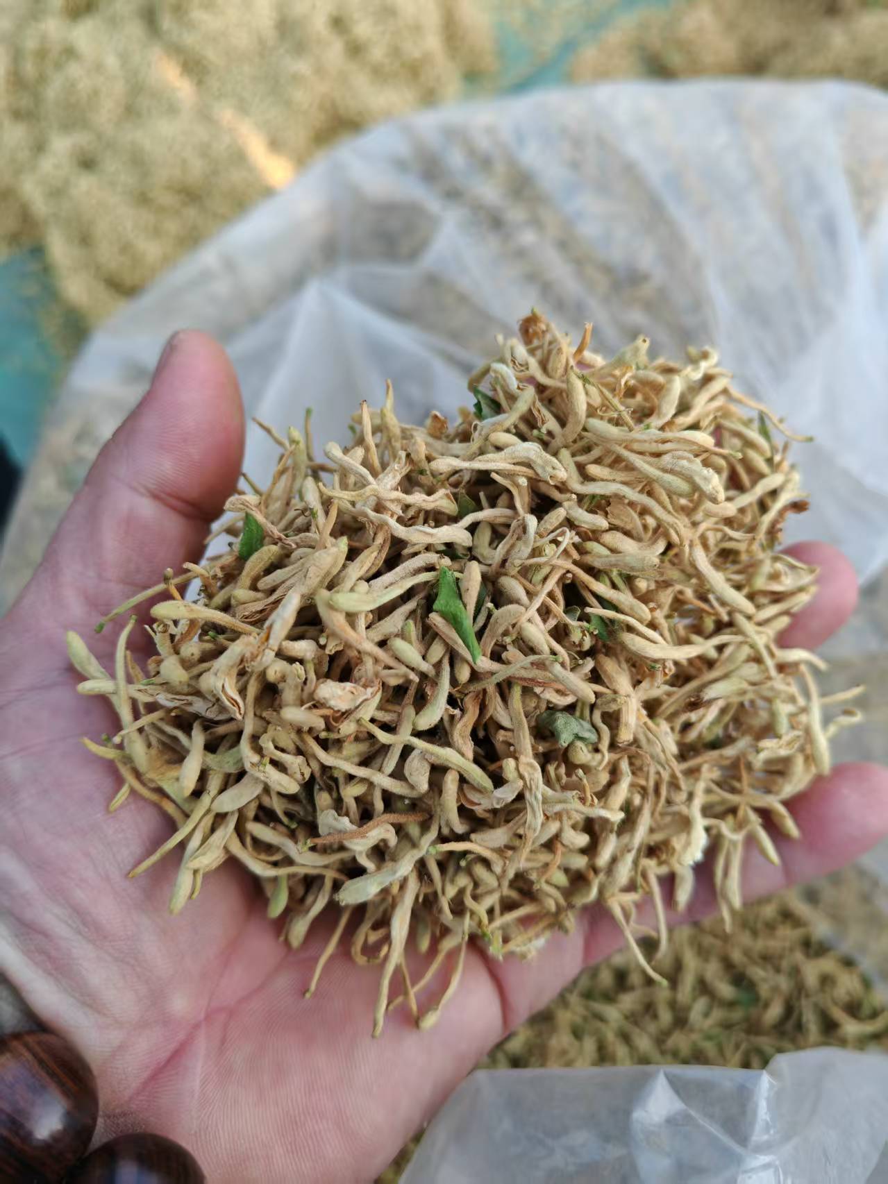 淄博金银花干花批发2026市场行情