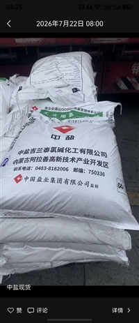 中盐吉兰泰工业用氢氧化钠 片碱99%含量 化工造纸纺织水处理原料