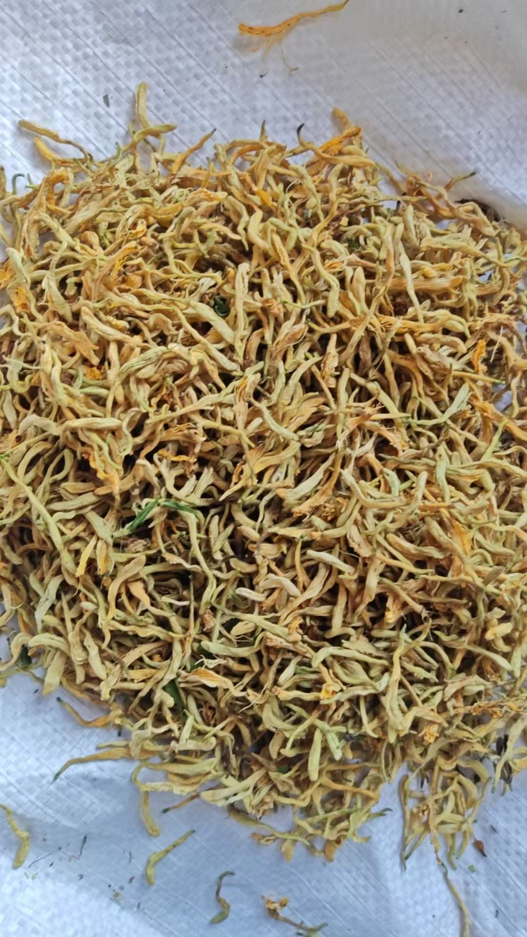 威海金银花干花多少钱一斤2026公司推荐