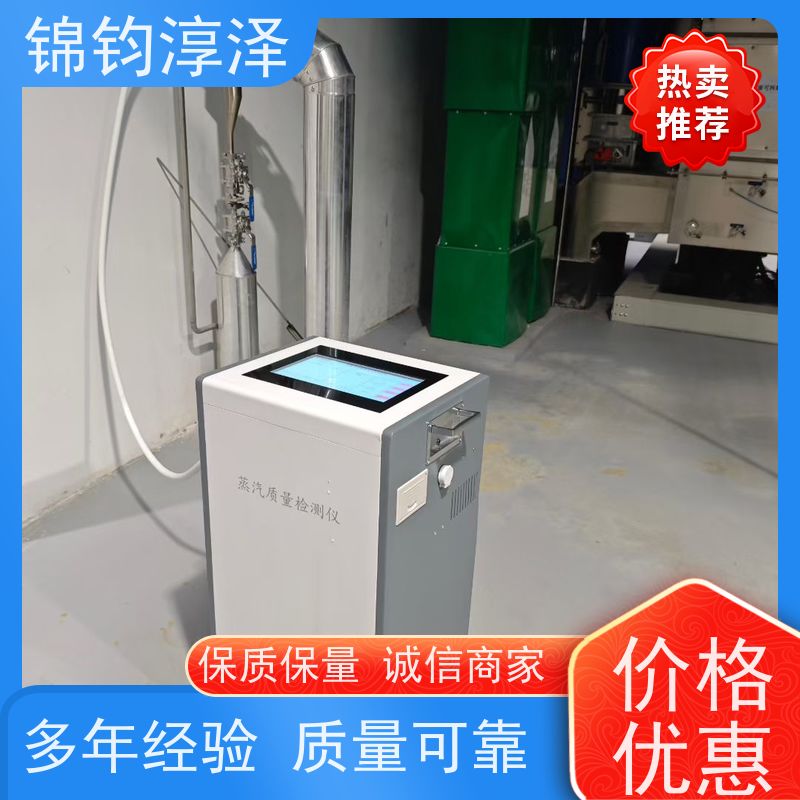 蒸汽非凝结气体分析仪 数据记录 多语言界面可选