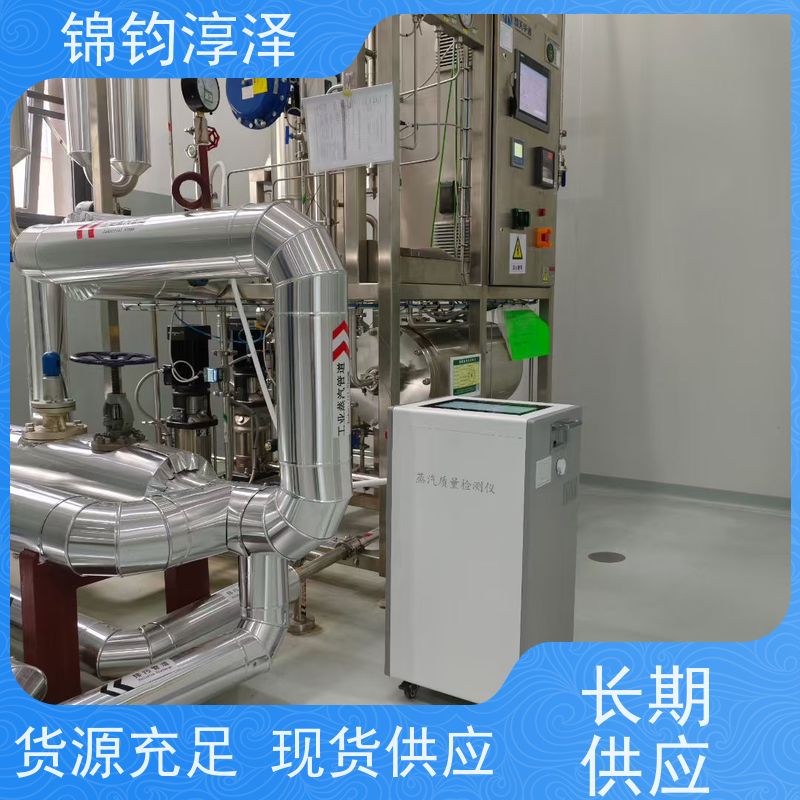 高精度蒸汽纯度检测仪 冷凝电 多语言界面可选