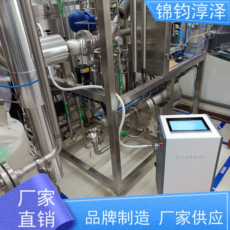 符合药典蒸汽检测仪 数据记录 便携设计易移动