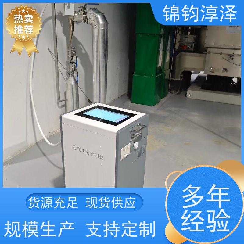 符合药典蒸汽检测仪 数字显示 超长续航电池强