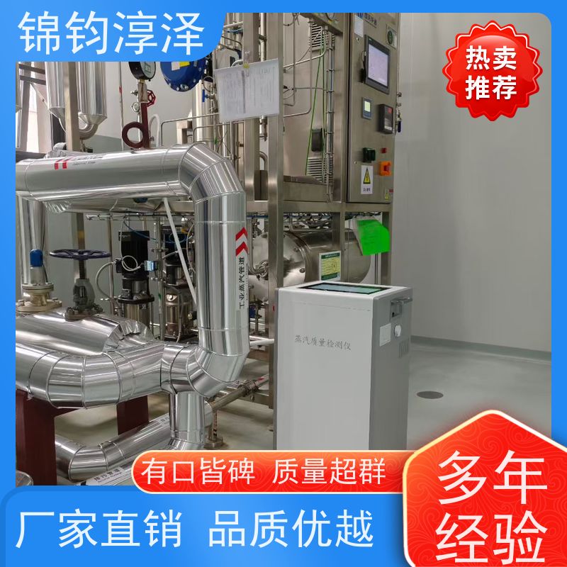 无菌生产蒸汽监测仪 数据记录 提升验证效率快