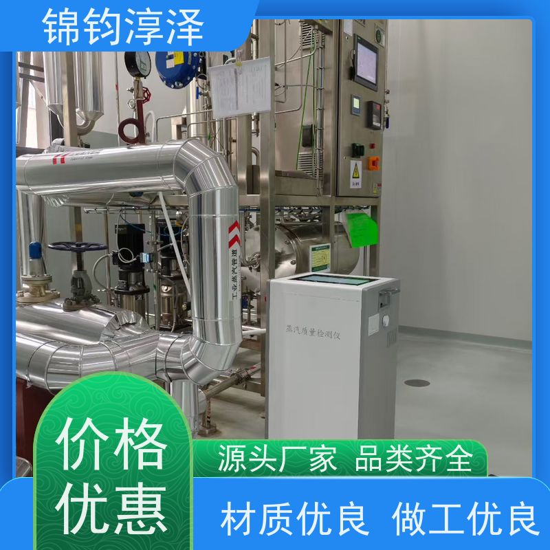 无菌生产蒸汽监测仪 数据记录 多语言界面可选