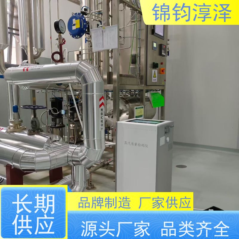 智能蒸汽质量分析系统 数字显示 防止冷凝水干扰