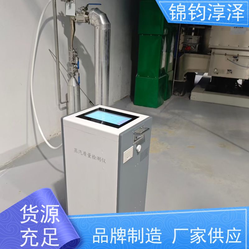 蒸汽非凝结气体分析仪 洁净度检测 自动判断合格否