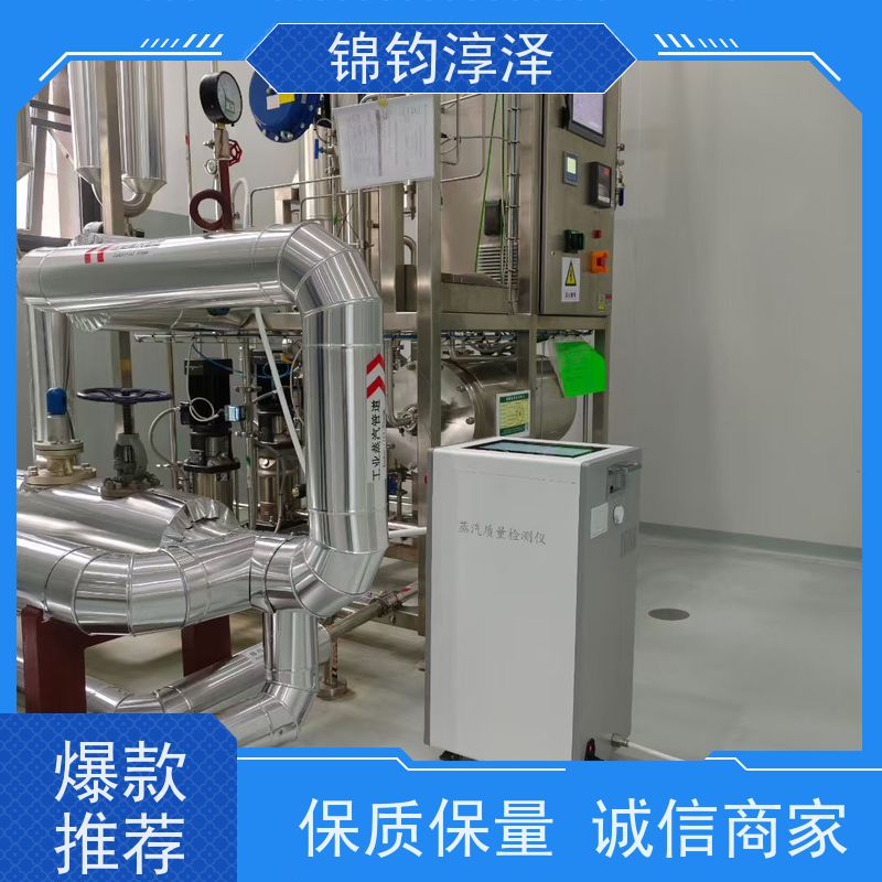 自动化蒸汽采样检测仪 数字显示 不锈钢机身耐用