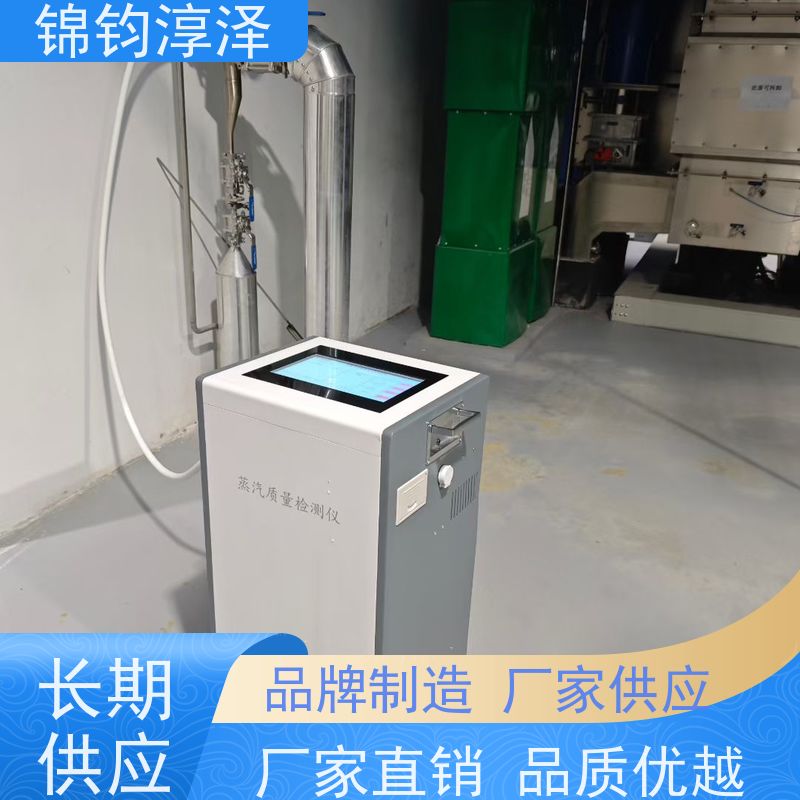 蒸汽干燥度测试系统 数字显示 快速完成单次测