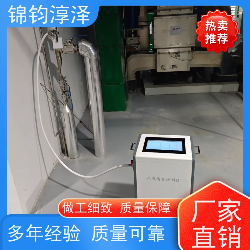 蒸汽非凝结气体分析仪 数据记录 智能温控系统稳