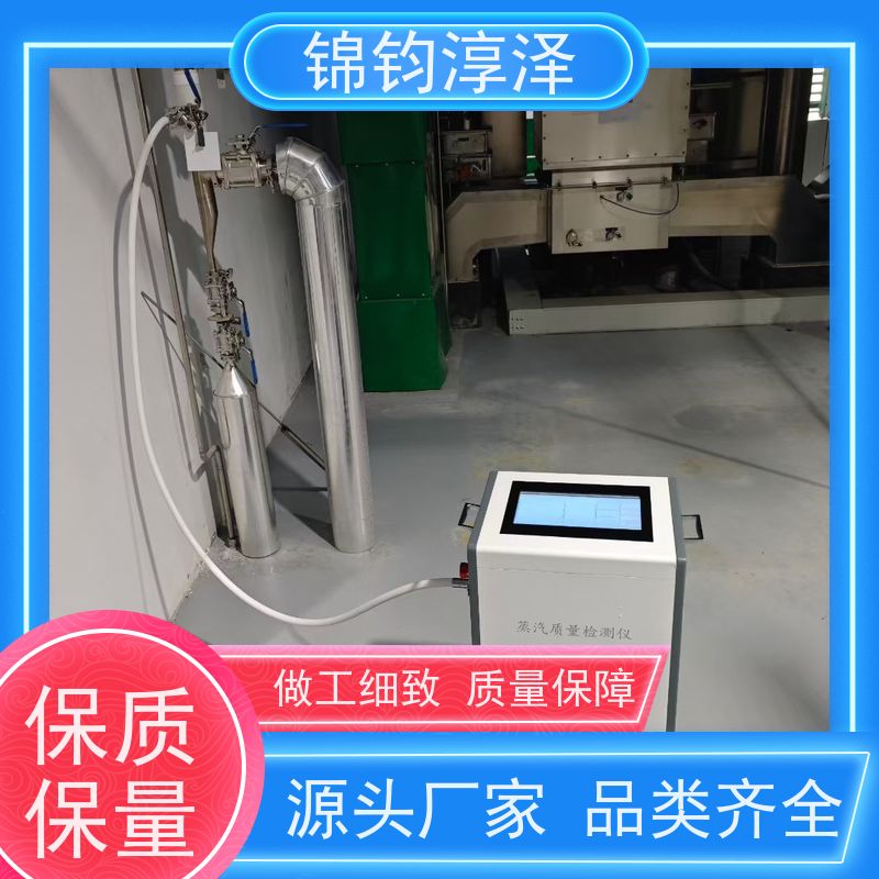 灭菌柜蒸汽质量测试仪 全自动 内置无线打印机