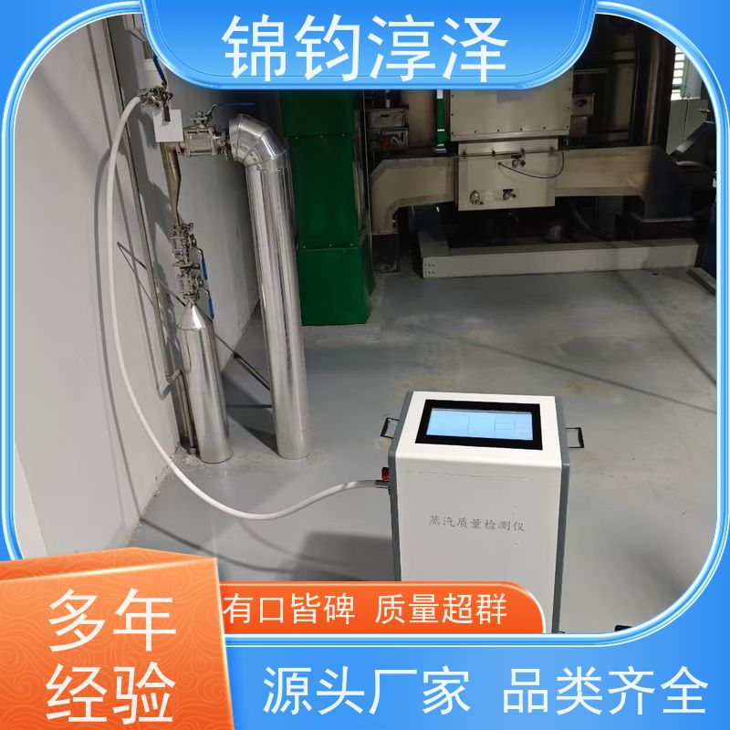手持式蒸汽质量检测仪 全自动 超长续航电池强