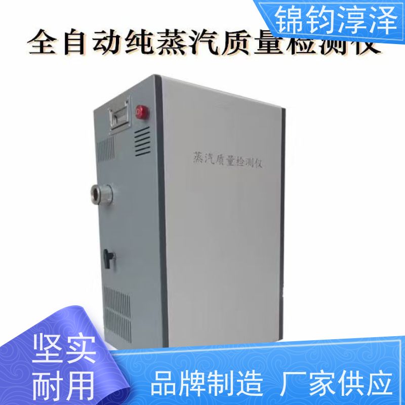 智能蒸汽质量分析系统 洁净度检测 USB导出原始数