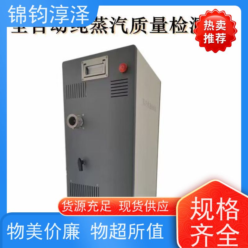 制药用蒸汽质量检测仪 冷凝电 超长续航电池强