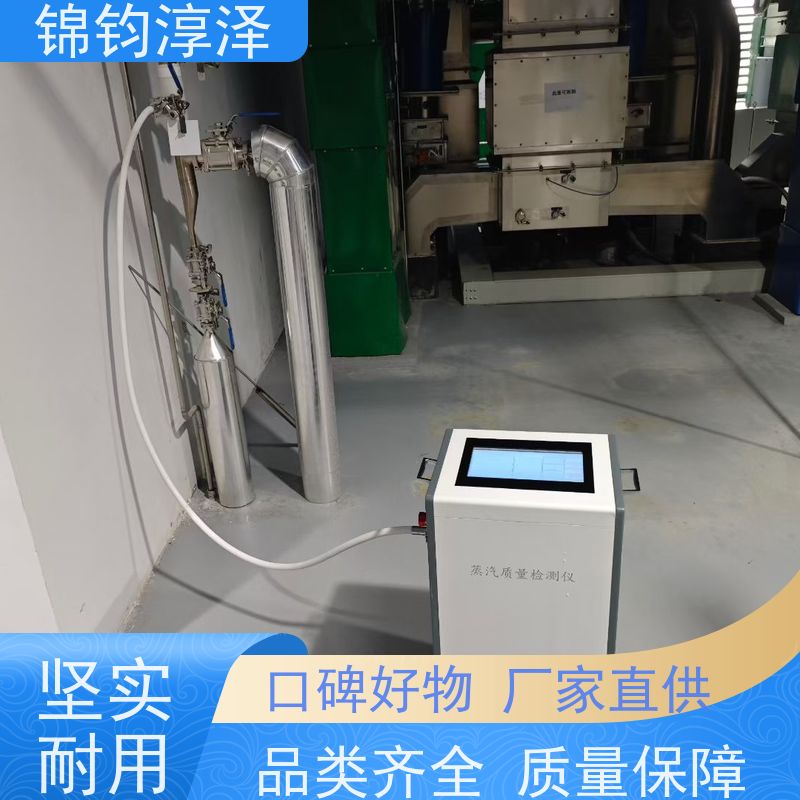 蒸汽干燥度测试系统 数据记录 提升验证效率快