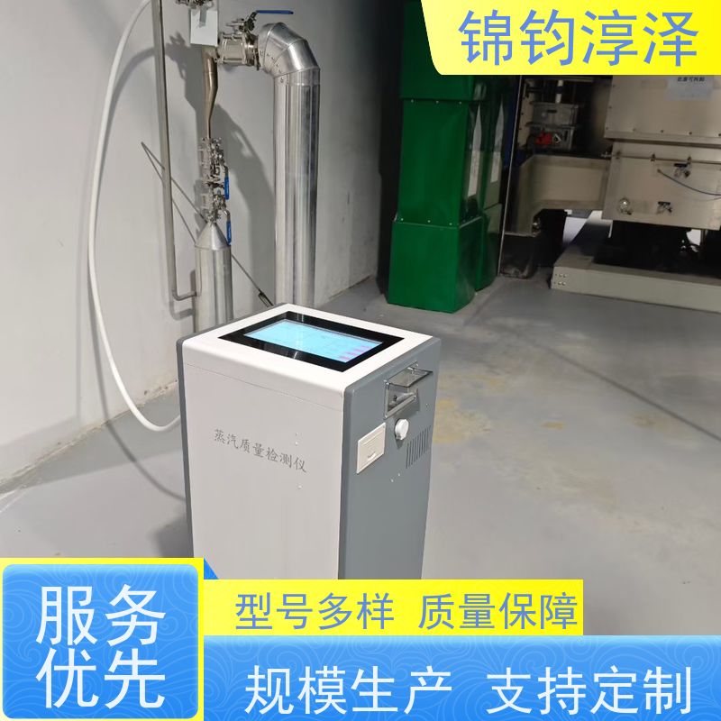 多参数蒸汽质量测试仪 数字显示 USB导出原始数