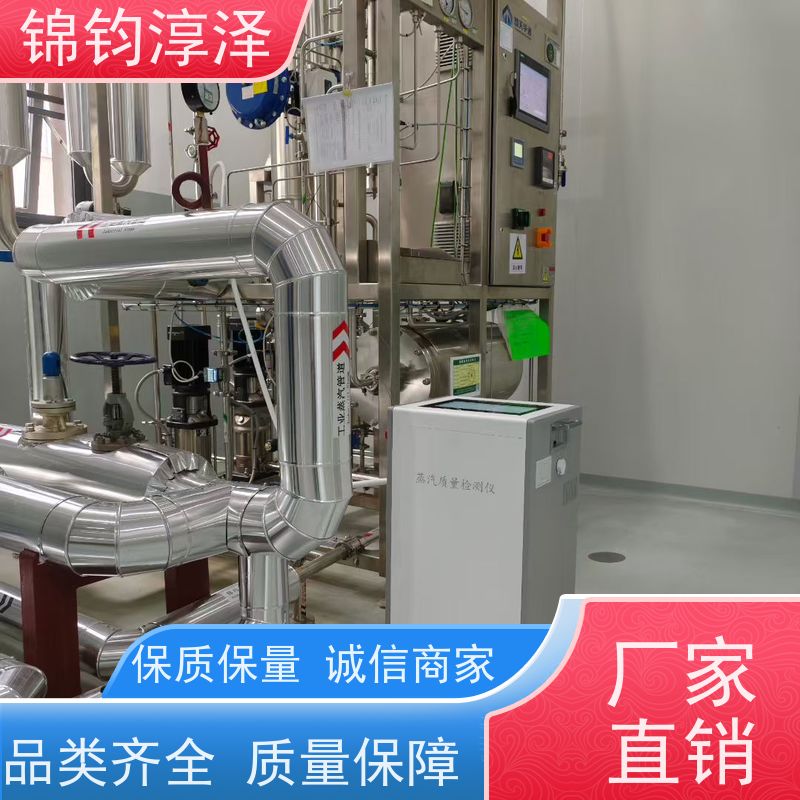 多参数蒸汽质量测试仪 数字显示 高精度传感器准