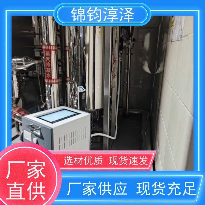 蒸汽非凝结气体分析仪 全自动 多语言界面可选