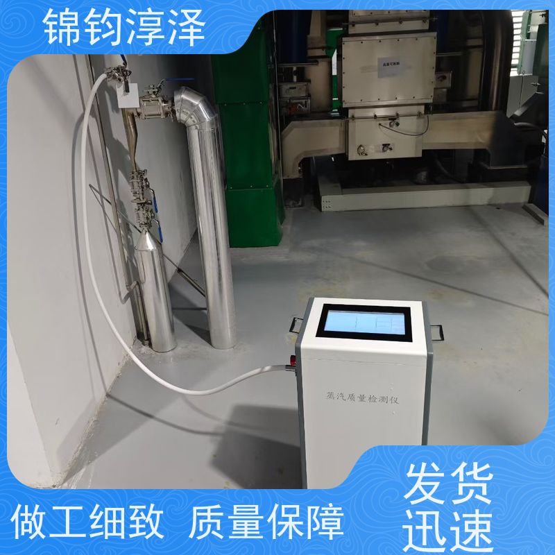 智能蒸汽质量分析系统 数据记录 一键生成验证报