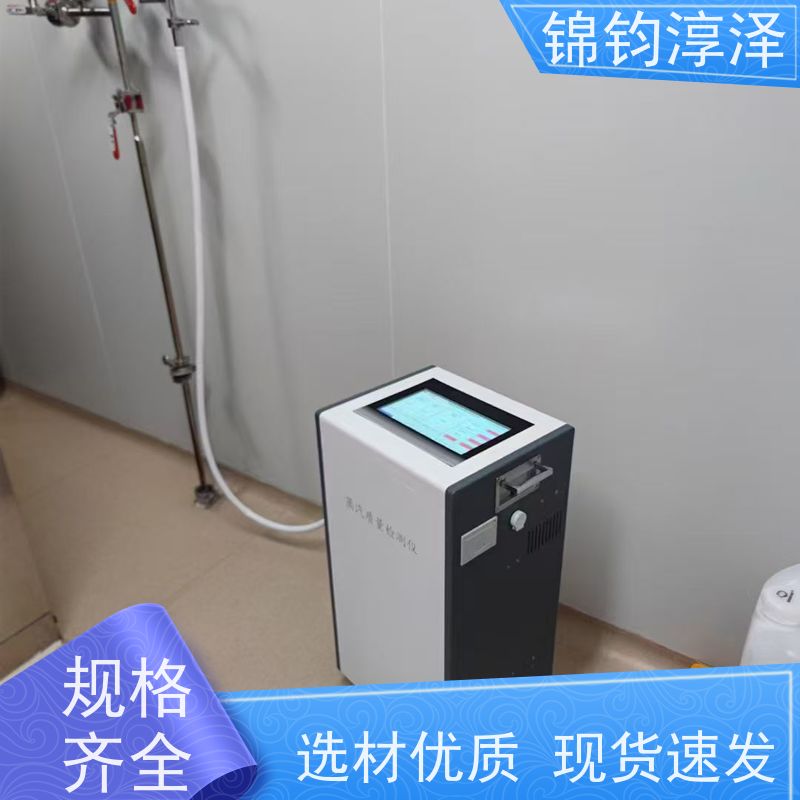 符合药典蒸汽检测仪 数据记录 管路自清洁功能