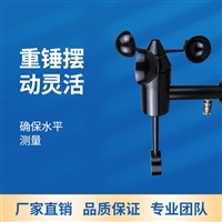 摆锤三杯式结构传感器