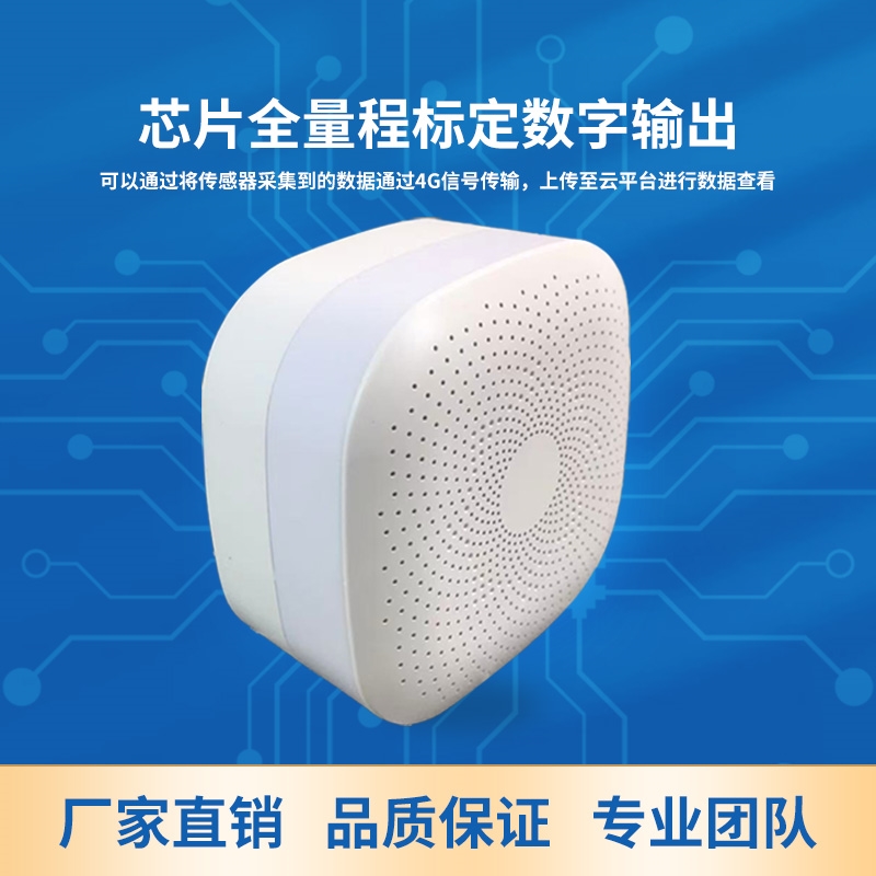 壁挂式温湿度无线记录仪