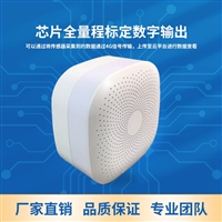壁挂式温湿度无线记录仪