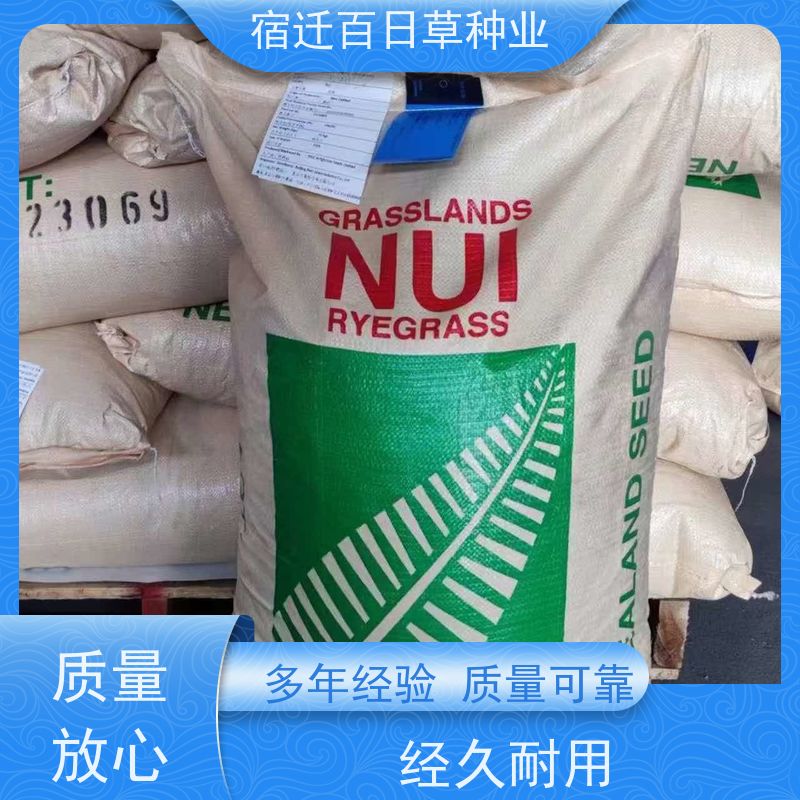 湖北 包衣狗牙根 厂家批发