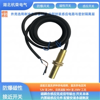 磁性传感器SR-L60DC48磁感应接近开关矿用本体