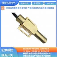 磁性传感器BX4D3K防爆行程开关防撕裂件