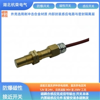 磁性传感器E2G11H85磁电传感器可调支架