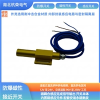 磁性传感器ZNK-A100JK-PJ磁性开关双层密封件