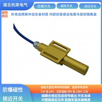 磁性传感器CK磁开关气体防爆开关