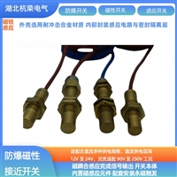 磁性传感器磁铁配套用GZF12定位开关提升机专用件