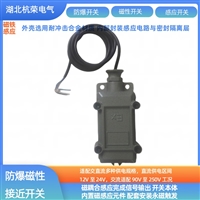 磁性传感器WZLXJ-QG50阀位开关内置滤波件