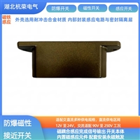磁性传感器FJK-SXSD-LDTL-LED磁感应接近开关密封垫圈