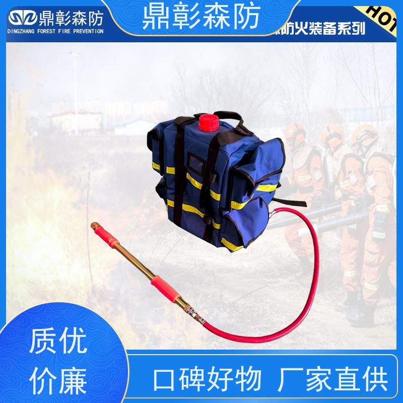 鼎彰应急 手电一体灭火水枪 山林扑火机动灵活 轻装赴险