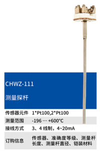 CHWZ-111铂热电阻温度传感器 铠装探头