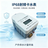 射频卡塑壳 农村饮水 地下井 预付费智能水表 防水IC卡 ic DN20 刷卡