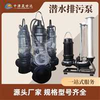 天津_200WQ排污泵型号实力厂家