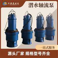 湖南  一体化防汛潜水轴流泵泵站厂家