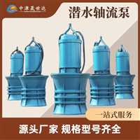 北京  一体化立式轴流泵泵站厂家