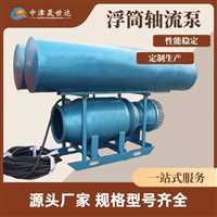 湖南一体化防汛立式潜水轴流泵泵站