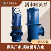 北京  一体化潜水轴流泵泵站生产厂家