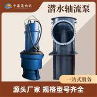 湖南  一体化轴流泵泵站厂家