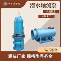 北京  一体化立式轴流泵泵站生产厂家