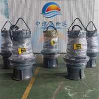 湖南  一体化轴流泵厂家